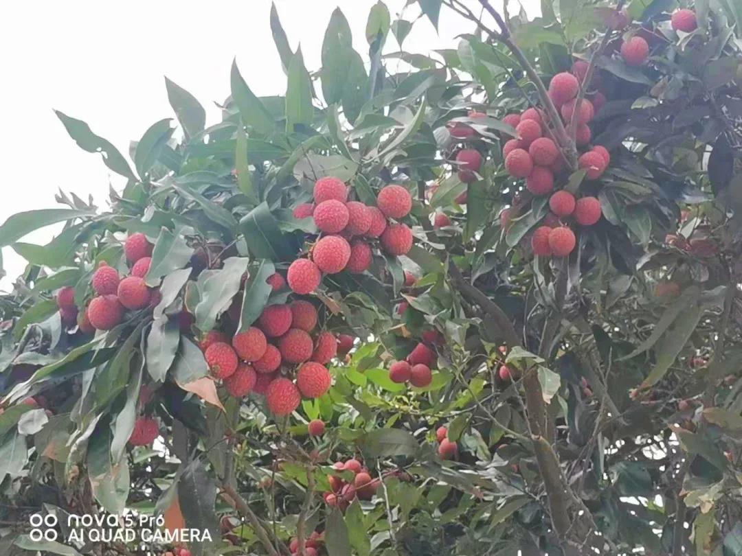 微信圖片_20210625101133.jpg 微信圖片_20210625101133.jpg