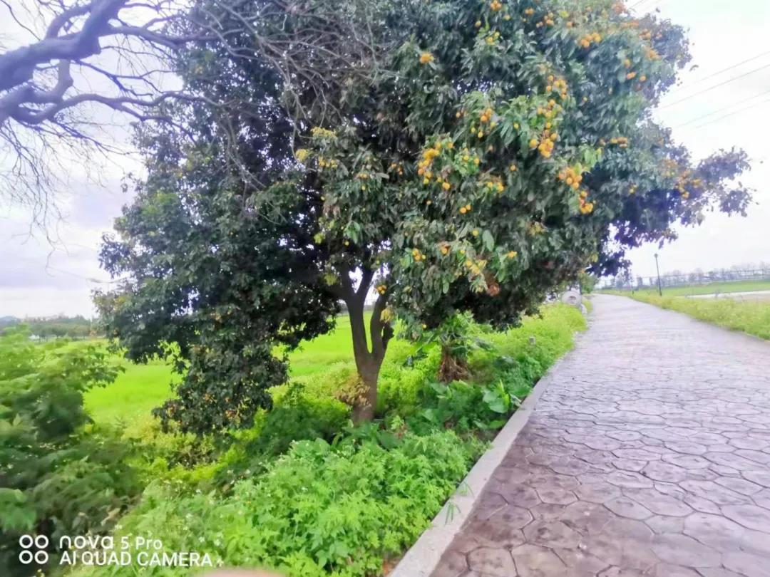 微信圖片_20210625101104.jpg 微信圖片_20210625101104.jpg