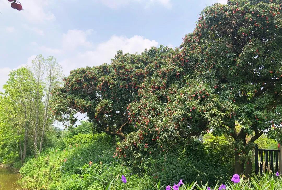 微信圖片_20210625143659.jpg 微信圖片_20210625143659.jpg